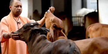 सरकार की बड़ी तैयारी, ऐसे बढ़ेगे दुग्ध का उत्पादन, पशुपालकों की आय में होगी बढ़ोतरी