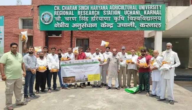 खरीफ मक्का प्रदर्शन हेतु करनाल और पानीपत जिलों में किसानों के लिए दो बीज वितरण कार्यक्रम आयोजित