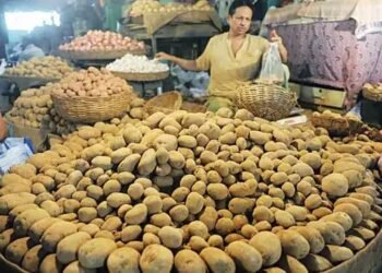 उत्तर प्रदेश से क्यों आलू खरीद रही ओडिशा सरकार, जानें पूरी डिटेल