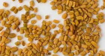 मेथी की इस कमाल की किस्म से होगा किसानों का बंपर मुनाफा, जानें पूरी डिटेल!