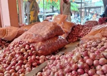 20 प्रतिशत निर्यात शुल्क के कारण भारत से प्याज नहीं खरीद रहे आयातक, अब ड्यूटी हटाने की मांग!