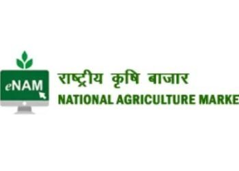 ई-नाम प्लेटफॉर्म से कृषि व्यापार को मिली नई उड़ान, अब तक ₹4.39 लाख करोड़ का कारोबार
