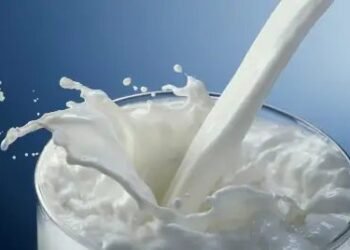6 फीसदी की दर से बढ़ा भारत का दूध उत्पादन, जानें डिटेल!