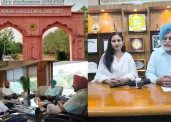 पंजाब एग्रीकल्चर यूनिवर्सिटी किसानों के लिए इन योजनाओं पर कर रही है काम : सतबीर सिंह