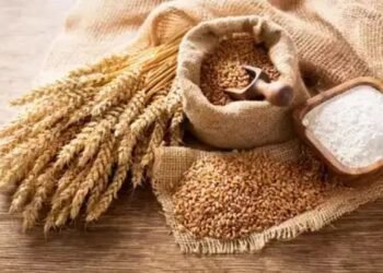 इस राज्य के किसानों के लिए सरकार ने बढ़ाई MSP पर गेहूं खरीदी के रजिस्ट्रेशन तारीख!