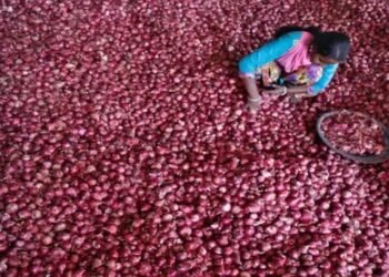सरकार जल्द ही बफर स्टॉक से प्याज को बाजार में उतारना शुरू करेगी