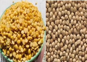 केंद्र ने काबुली चना सहित तुअर और चना पर 30 सितंबर, 2024 तक स्टॉक सीमा लागू की