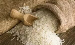 निर्यात वृद्धि धीमी होने के कारण केआरबीएल ने घरेलू बाजारों पर ध्यान केंद्रित किया