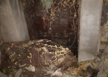 मंडुवाडीह बाजार में पेयजल संकट, नागरिक परेशान