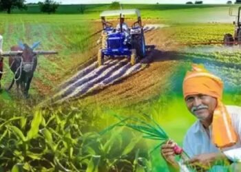 कृषि उपकरण: किसानों को उत्पादक और टिकाऊ भविष्य के लिए सशक्त बनाना