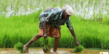 बेहतरीन योजना: 60 साल की उम्र के बाद 3 हजार की पेंशन, किसान जल्द कराएं रजिस्ट्रेशन