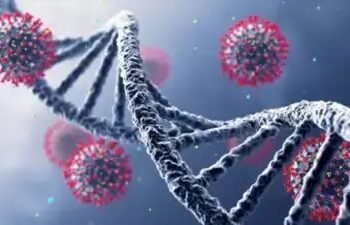 गुजरात में चांदीपुरा वायरस का प्रकोप, अभी तक 124 केस दर्ज, 44 की मौत