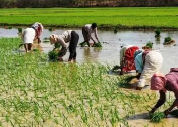 18वीं किस्त आने से पहले किसान करा लें ये काम, आया बड़ा अपडेट