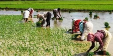 18वीं किस्त आने से पहले किसान करा लें ये काम, आया बड़ा अपडेट