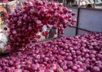 मप्र मंडीयों में प्याज के दाम बदहाल, जानें किन राज्यों में मिल रहा सबसे अधिक दाम