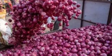 मप्र मंडीयों में प्याज के दाम बदहाल, जानें किन राज्यों में मिल रहा सबसे अधिक दाम