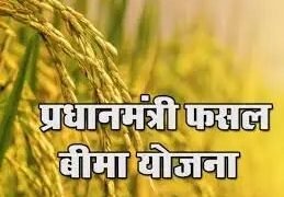 इन राज्यों में खरीफ फसलों के लिए पीएमएफबीवाई की कट-ऑफ तिथि बढ़ाई गई – पूरी सूची यहां