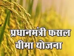 इन राज्यों में खरीफ फसलों के लिए पीएमएफबीवाई की कट-ऑफ तिथि बढ़ाई गई – पूरी सूची यहां