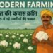 Modern Farming: भारत की कपास क्रांति, 2025 में नई उम्मीदों की फसल
