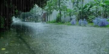 मौसम विभाग ने जारी किया भारी बारिश का रेड अलर्ट, ऐसा रहेगा मौसम
