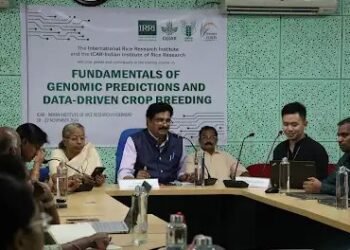 आईआरआरआई-आईसीएआर ने जीनोमिक पूर्वानुमान और डेटा-संचालित फसल प्रजनन पर कार्यशाला के माध्यम से आधुनिक पौध प्रजनन पर क्षमता का निर्माण किया