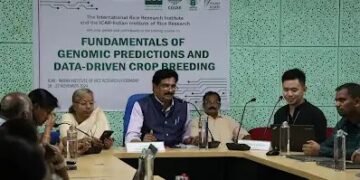 आईआरआरआई-आईसीएआर ने जीनोमिक पूर्वानुमान और डेटा-संचालित फसल प्रजनन पर कार्यशाला के माध्यम से आधुनिक पौध प्रजनन पर क्षमता का निर्माण किया