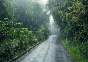 IMD ने इन राज्यों में बताई बारिश की संभावना, जानें क्या होगा आपके राज्य का मौसम?
