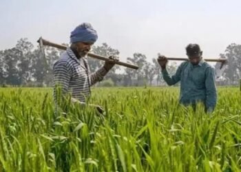 जानें क्या है PACS, 1.5 लाख गांव के लिए हुआ जिसका गठन, किसानों को मिलेगी मदद