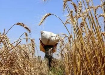 महाराष्ट्र में 24 साल में इतने हजार किसानों ने की आत्महत्या, कर्ज और फसल नुकसान थी वजह!