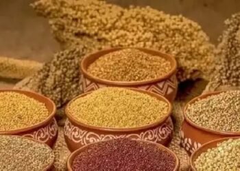 UP में 1 अक्टूबर से शुरु होने जा रही मोटे अनाज की खरीद, जल्द करें रजिस्ट्रेशन