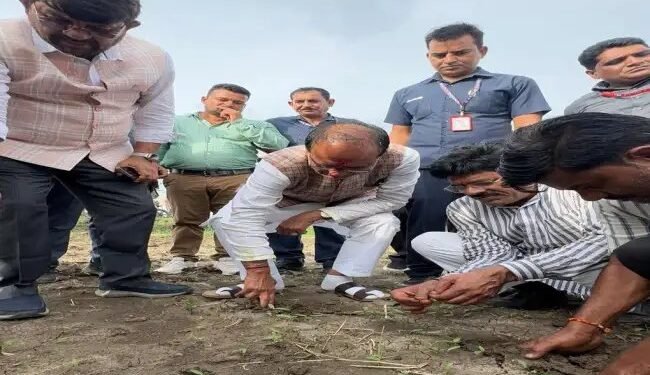 नकली बीज की शिकायत पर खुद खेत में उतरे केंद्रीय कृषि मंत्री शिवराज सिंह चौहान
