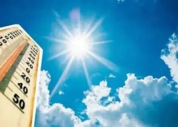 महाराष्ट्र में लू के हालात, मौसमी चेतावनी के बीच फसलों का ऐसे रखें ध्यान!