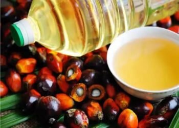 राष्ट्रीय खाद्य तेल मिशन के तहत पाम तेल प्रसंस्करण मिल को शुरू किया गया