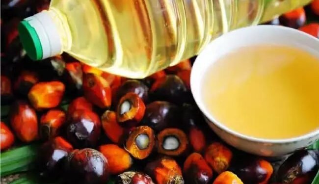 राष्ट्रीय खाद्य तेल मिशन के तहत पाम तेल प्रसंस्करण मिल को शुरू किया गया