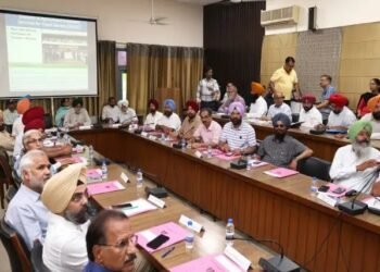 PAU ने किसानों को दी सलाह, 20 जून के बाद धान की रोपाई करें