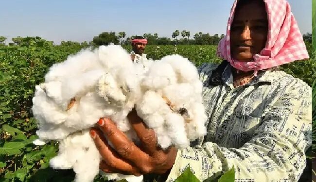 कपास सत्र 2023-24 के लिए कपास उत्पादन एवं उपभोग समिति की तीसरी बैठक आयोजित