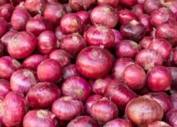 इन राज्यों में बंद होगा प्याज का निर्यात, APMC ने केंद्र को भेजा पत्र