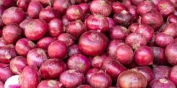 इन राज्यों में बंद होगा प्याज का निर्यात, APMC ने केंद्र को भेजा पत्र