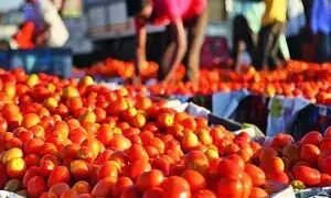 राहत की उम्मीद! टमाटर की कीमतों में गिरावट आ सकती है