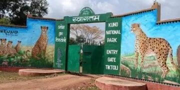 मप्र के कूनो नेशनल पार्क अब पर्यटकों के लिए खुला, जानें डिटेल!