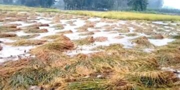 बाढ़ प्रभावित 40 जिलों के लिए सीएम योगी ने जारी किए 120 करोड़,  मिलेगा मुआवजा