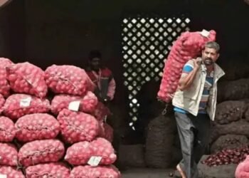 प्याज़ ने उपभोक्ताओं को रुलाया! नवंबर में कीमतें 5 साल के उच्चतम स्तर पर पहुंचीं