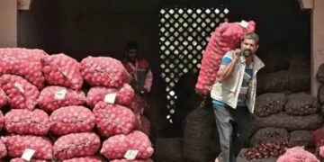 प्याज़ ने उपभोक्ताओं को रुलाया! नवंबर में कीमतें 5 साल के उच्चतम स्तर पर पहुंचीं