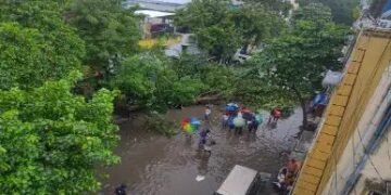 तमिलनाडू में चक्रवात फेंगल का कहर, भूस्खलन ने मचाई तबाही, IMD ने दी चेतावनी