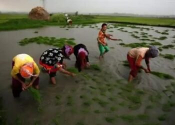 धान के समर्थन मूल्य में मामूली 3% की वृद्धि