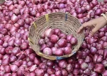 चुनाव के बीच सरकार का अहम फैसला, प्याज पर लगा प्रतिबंध हटा, रखी ये शर्त