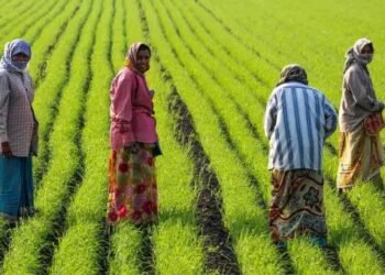 प्रयागराज में 6,300 से अधिक किसान करेंगे प्राकृतिक खेती, 2,550 हेक्टेयर भूमि पर होगा प्रयोग
