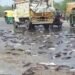 सड़क पर पलटा मछलियों से लदा वाहन, राहगीरों में मची लूटने की होड़