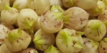 महुआ की खेती में करें ये दो उपाय, नहीं घटेगी पैदावार!