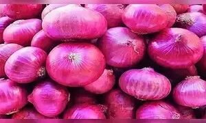 प्याज की कीमतों को नियंत्रित करने के लिए सरकार ने बफर स्टॉक की बिक्री बढ़ाई